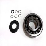 Screw pump